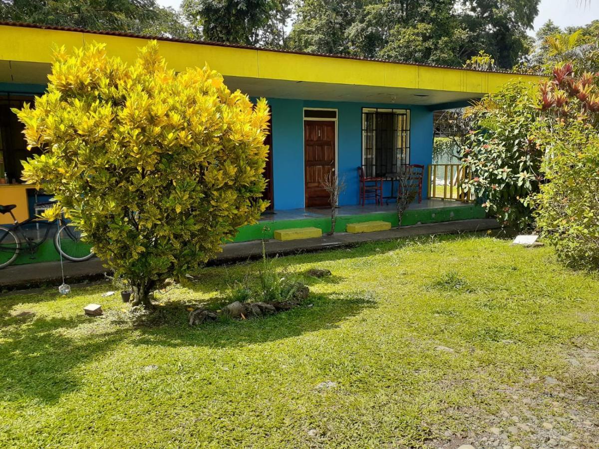 Rooms Palmeras Cahuita Dış mekan fotoğraf