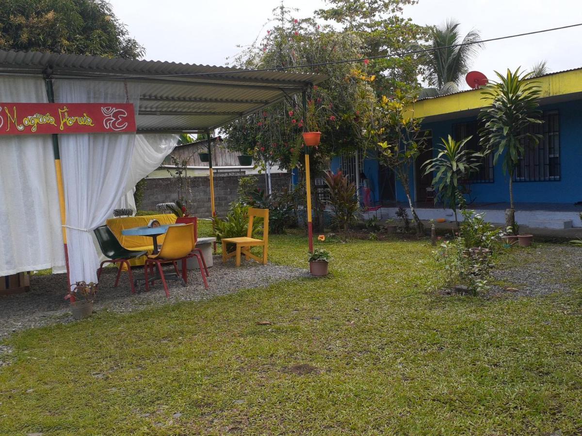 Rooms Palmeras Cahuita Dış mekan fotoğraf