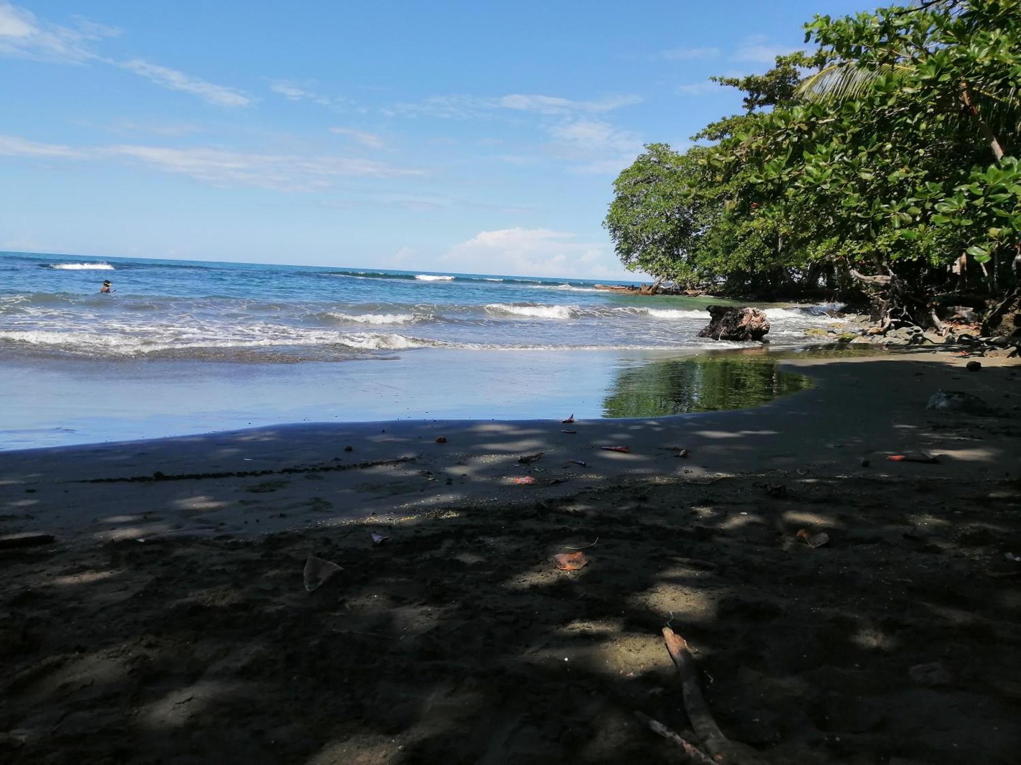 Rooms Palmeras Cahuita Dış mekan fotoğraf