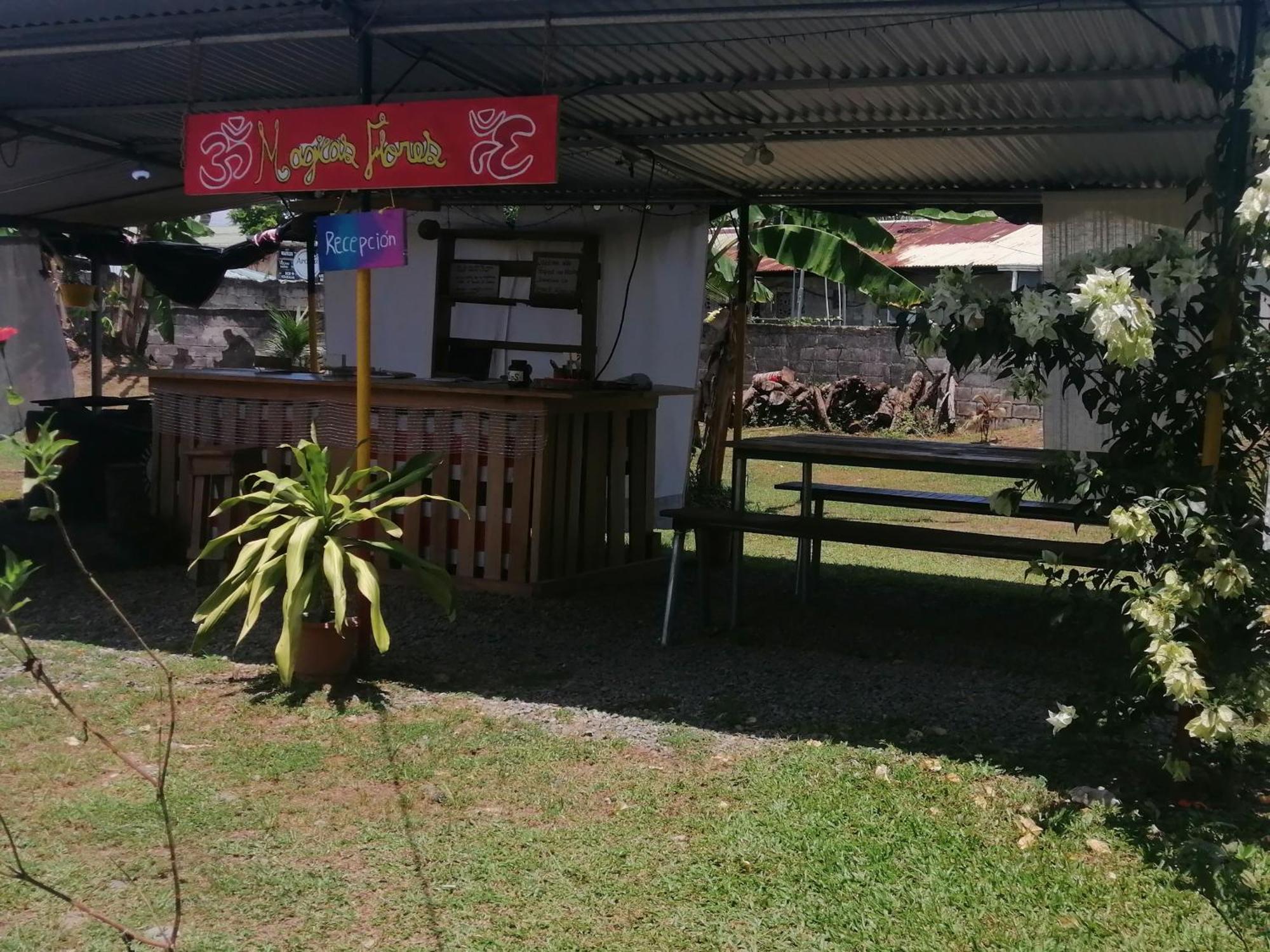 Rooms Palmeras Cahuita Dış mekan fotoğraf