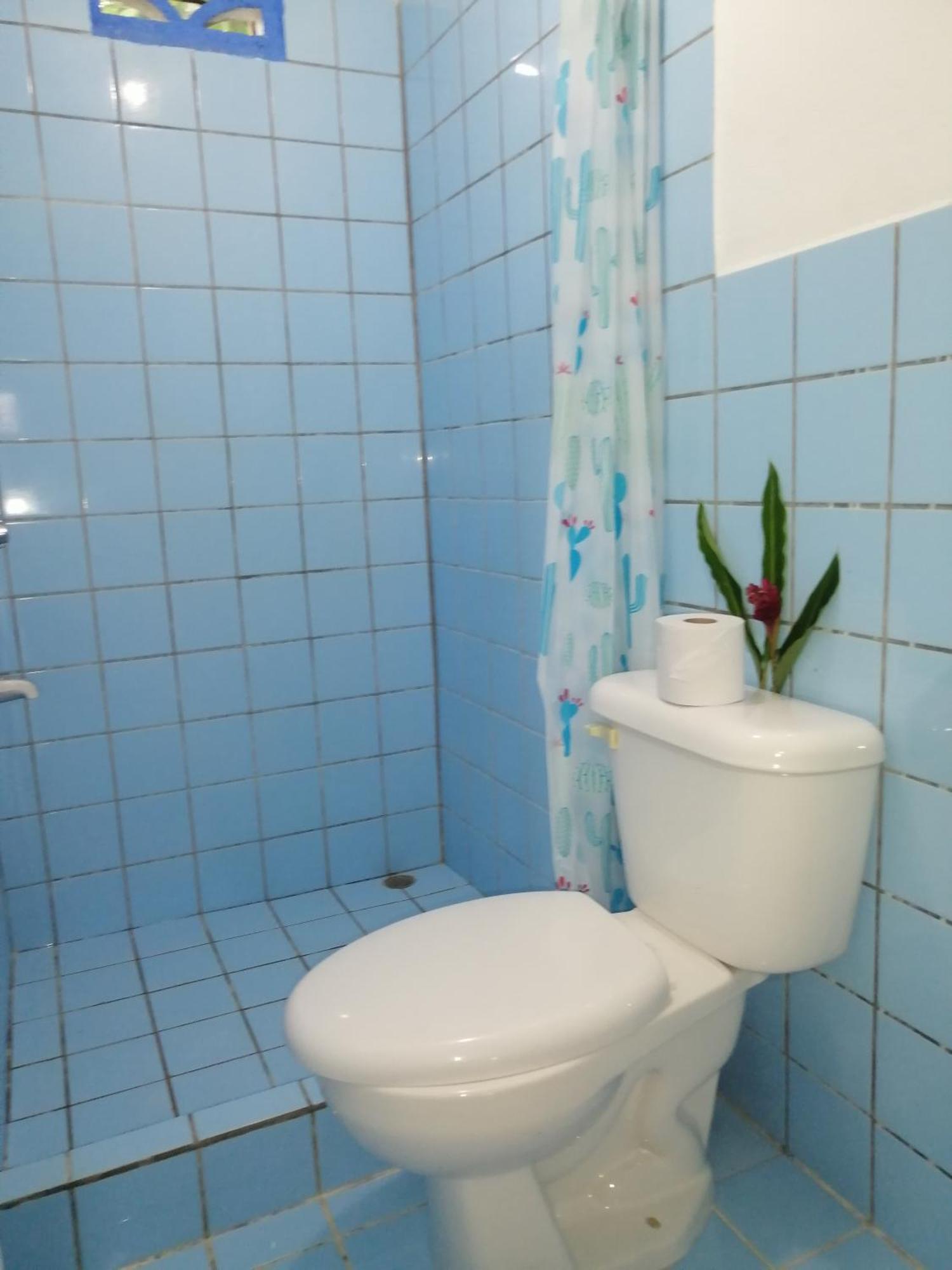 Rooms Palmeras Cahuita Dış mekan fotoğraf